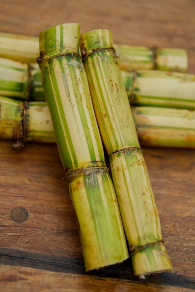 Real cut sugarcane stalks